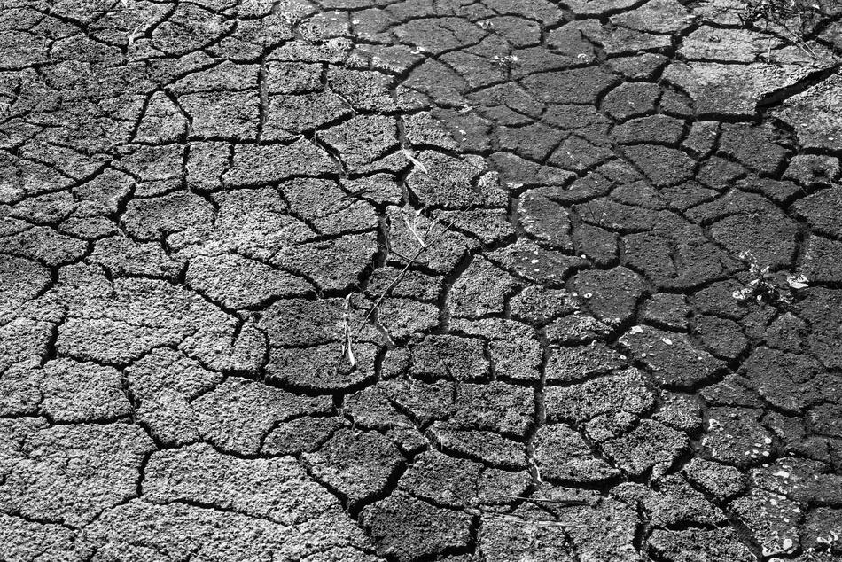 dry earth is black and white