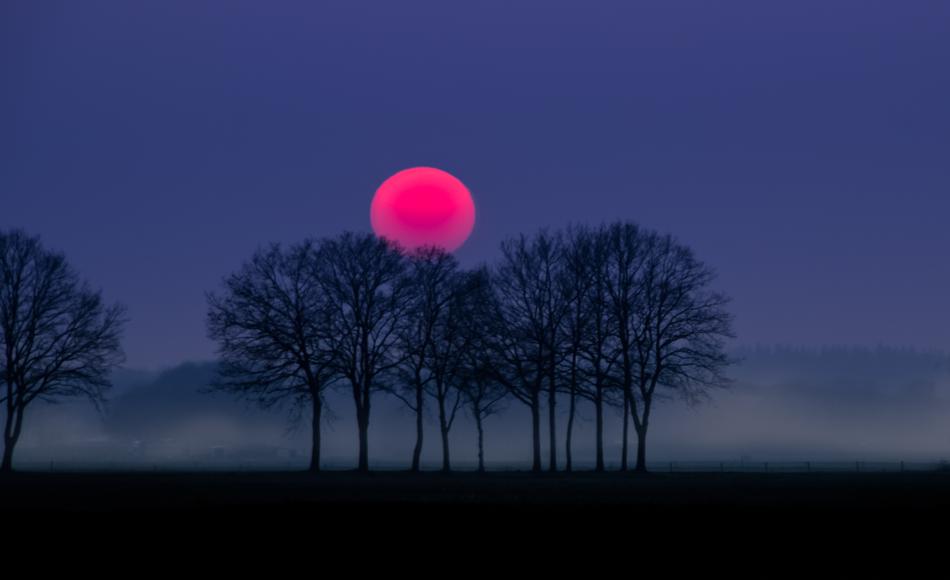 Red Sun Fog