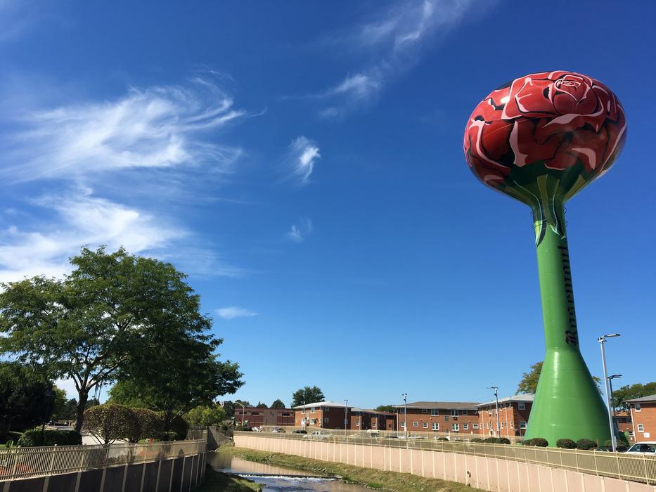 colored water tower