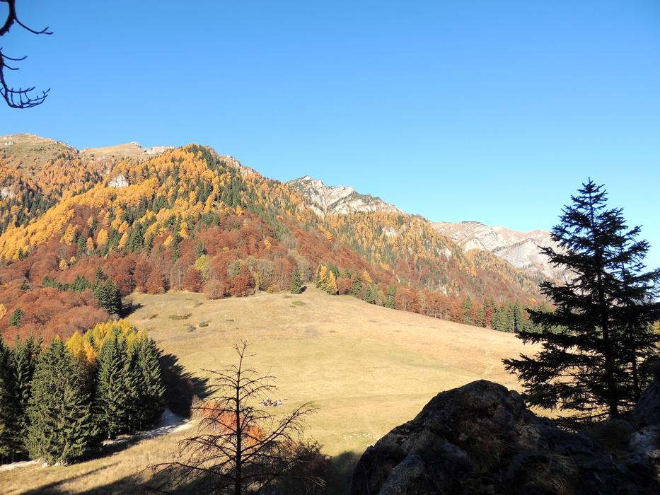 Royal Sheepfold Mountain Sinaia