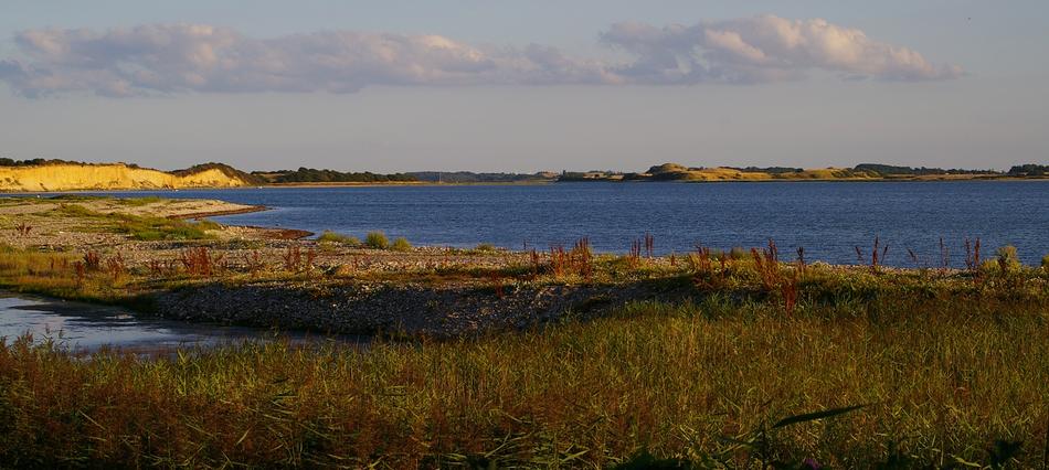 autumn grass on the shores of the Baltic Sea in Denmark