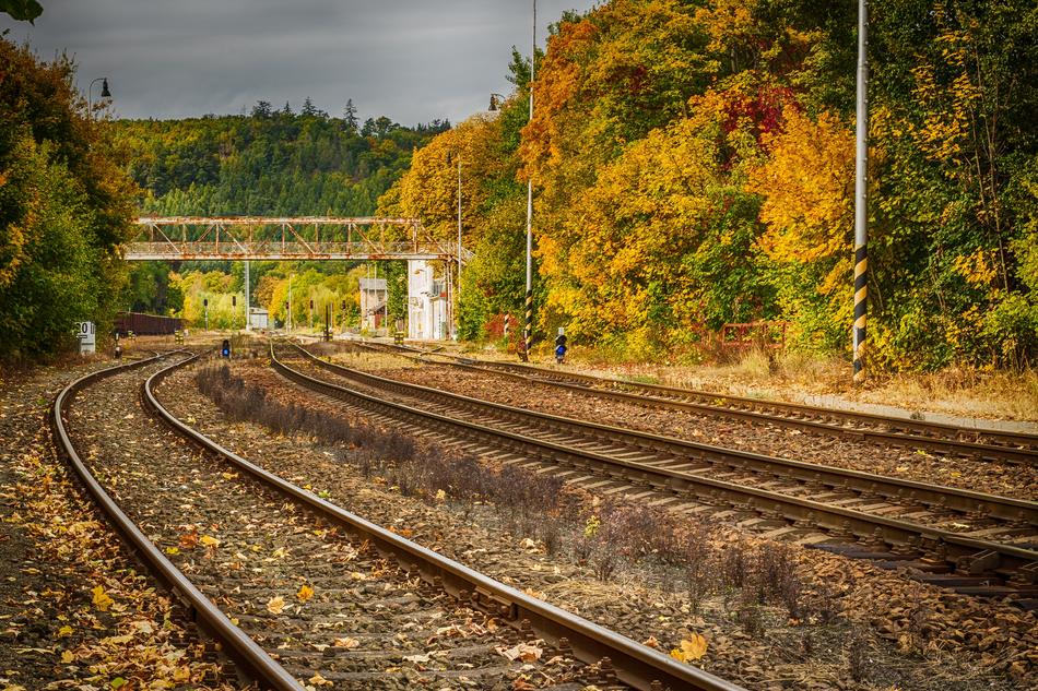 railroad tracks in the fall foliage