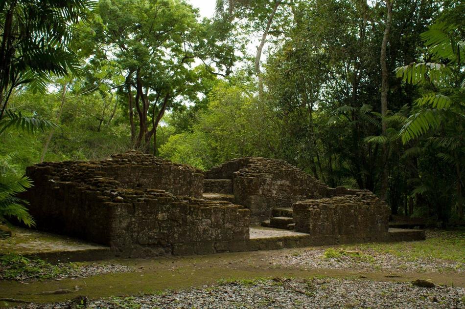 archaeological excavations in the forest