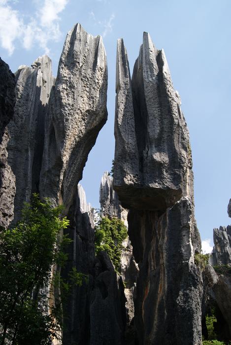 Stone Forest National Geological Park Naigu Scenic Area