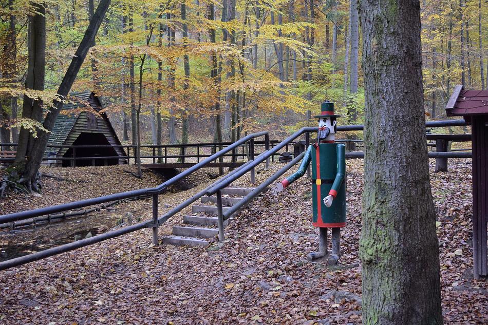 Forest Forester Autumn
