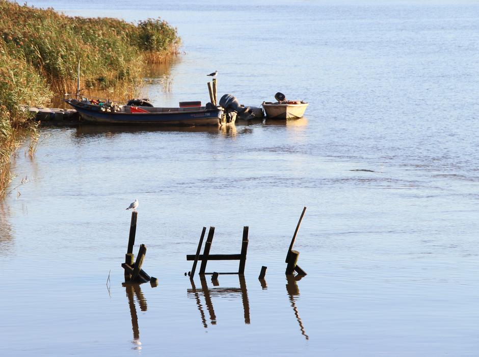 Rio Sado Boats