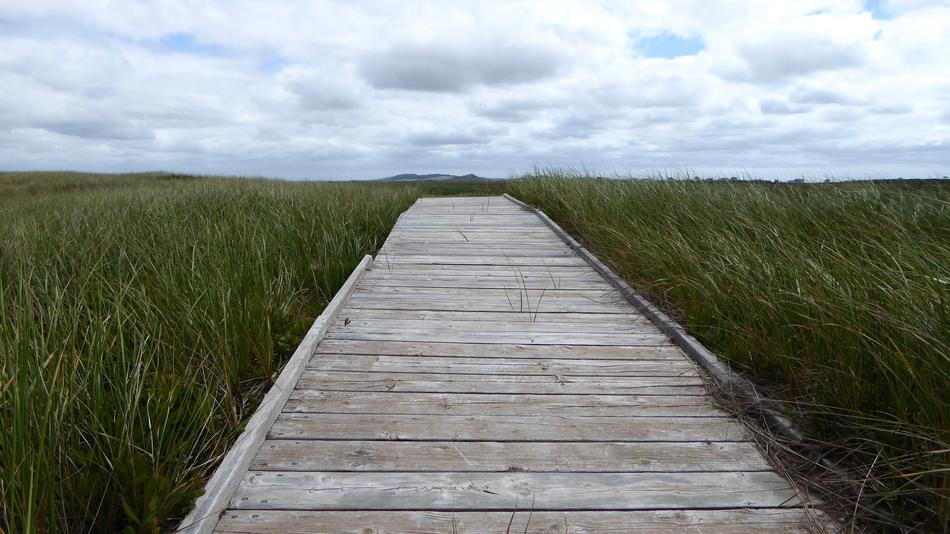 Path Journey Nature