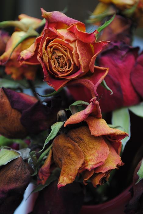 dried colored flowers bouquet