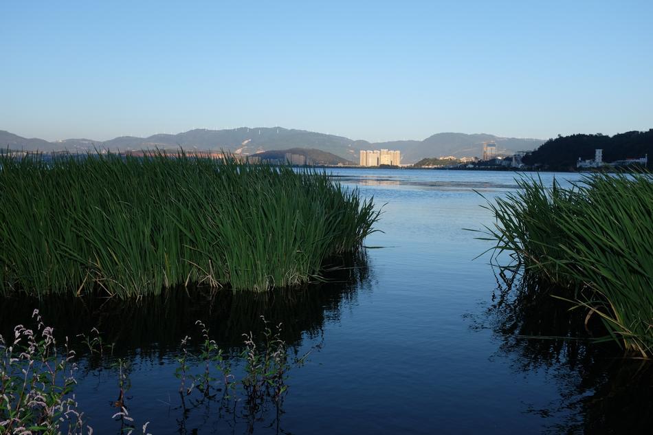 beautiful lake with herbs