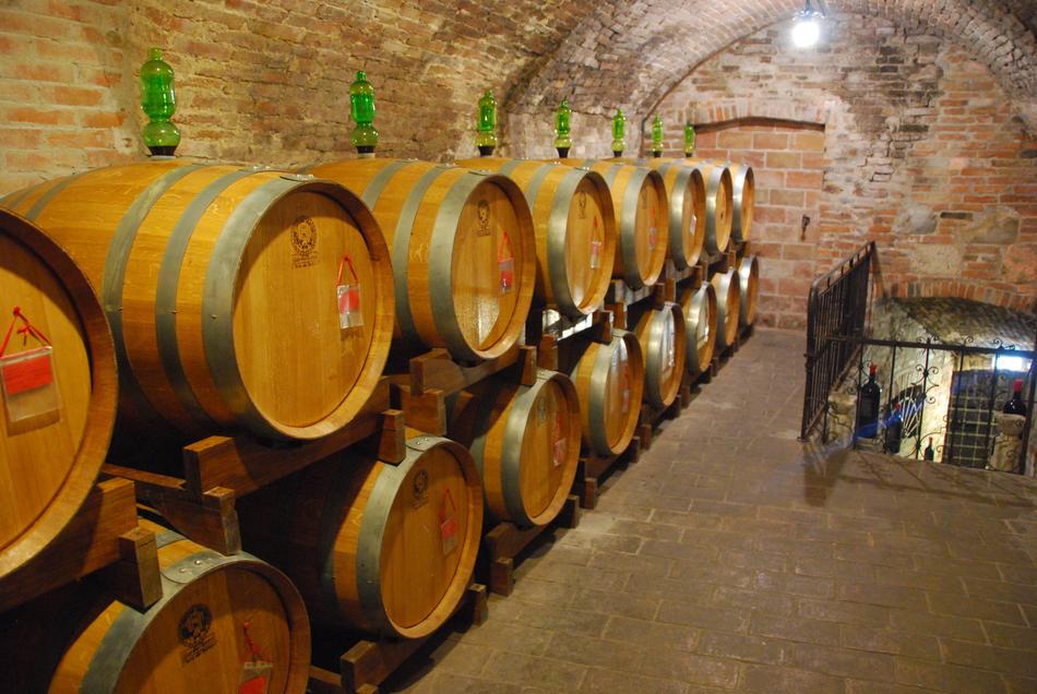 wine barrels in the cellar
