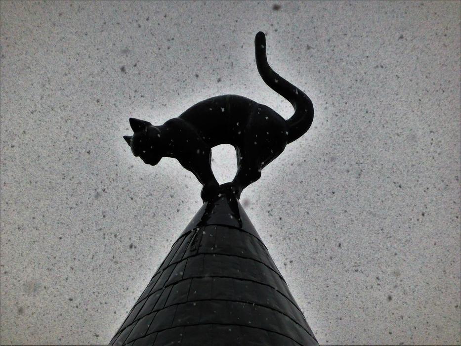 cat silhouette in Riga