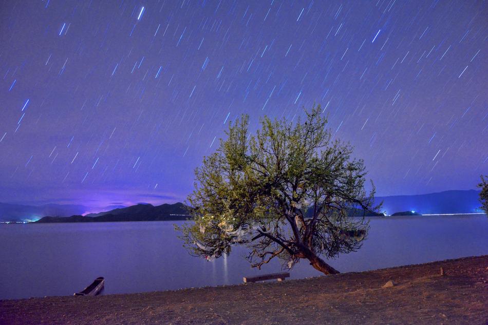 space sky with a tree