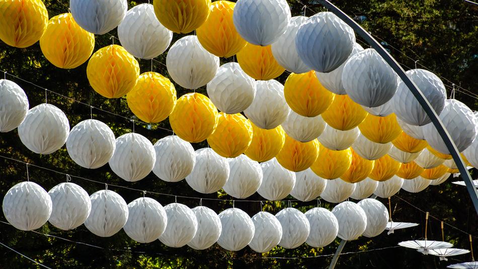 Street Decoration Light
