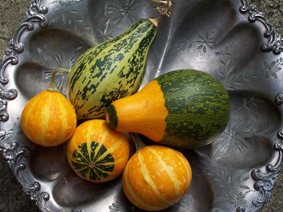 small ripe pumpkins are healthy