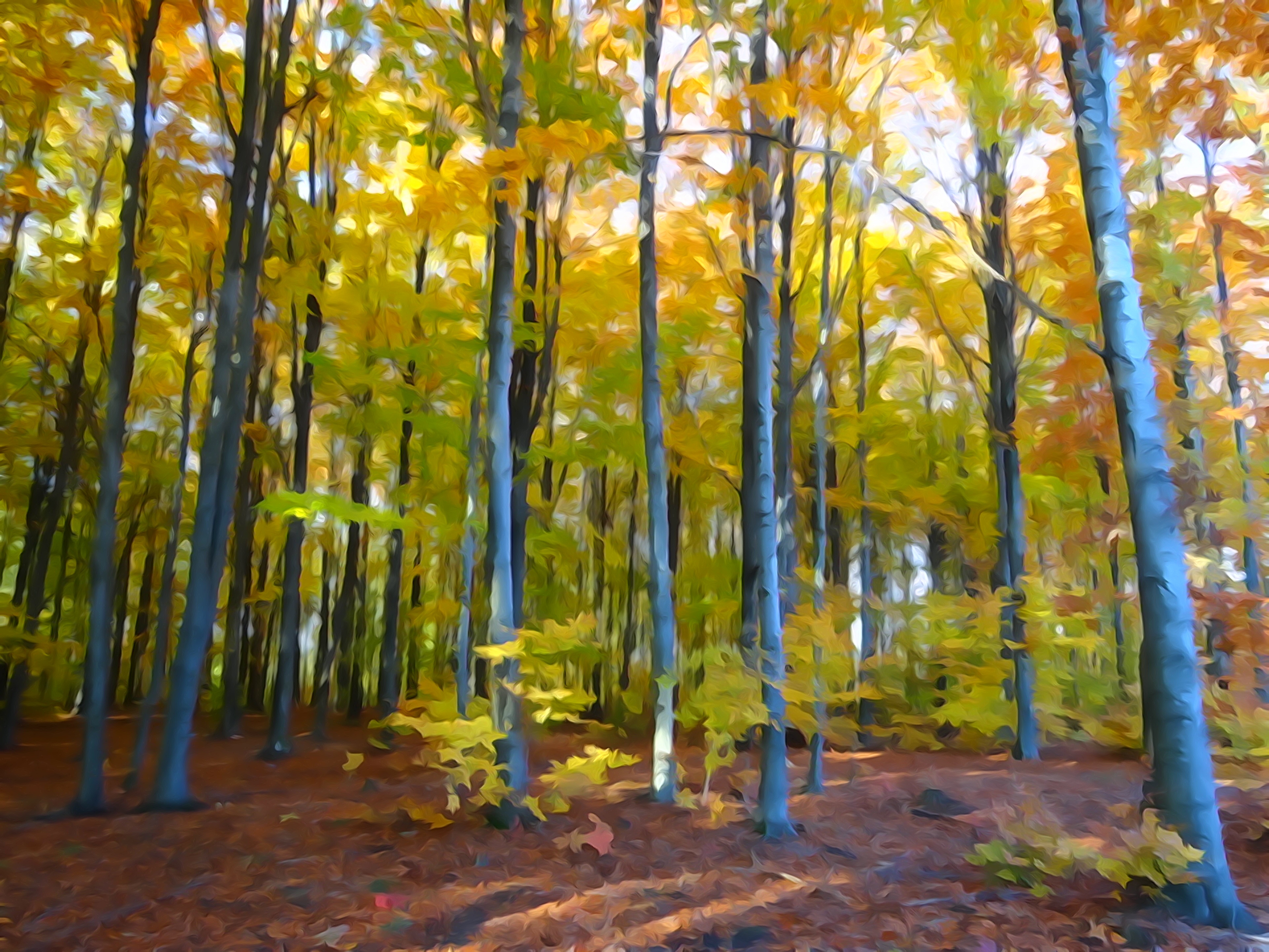 Акварель осень лес