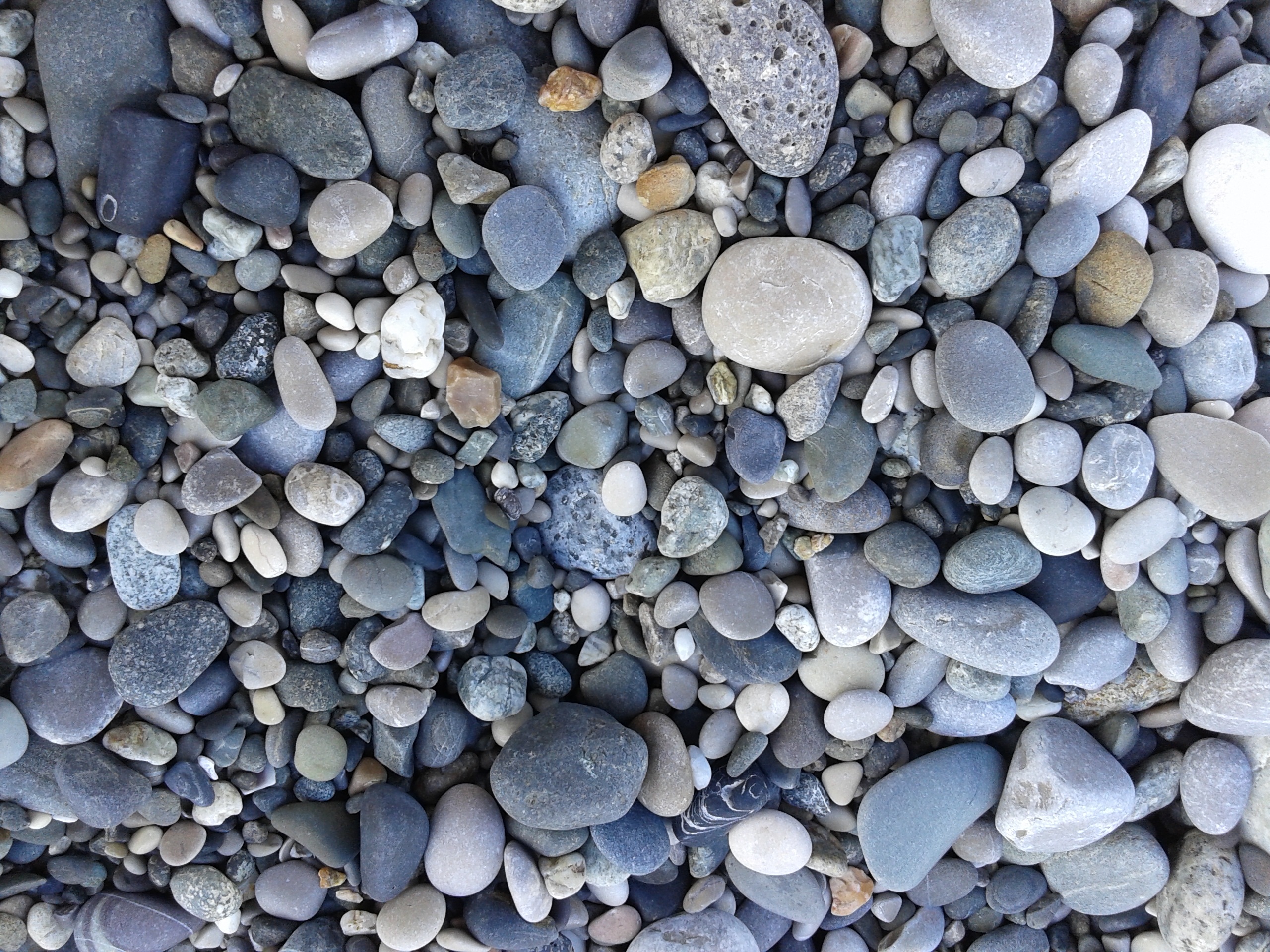 Dry rocks on the coast by the sea free image download