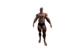 muscular male bodybuilder on white background