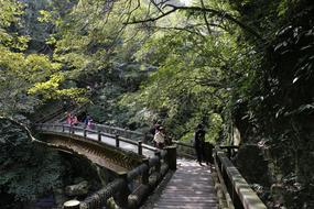 people walking on the bridge in the park