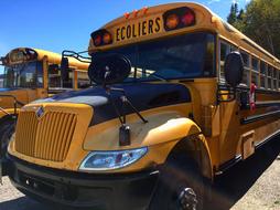 yellow school buses in a parking lot in Canada