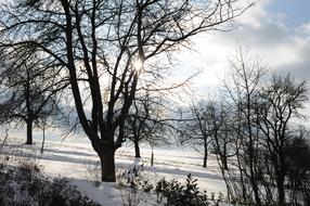 Eberdingen Winter Sun