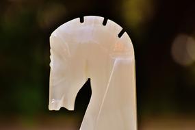 Horse Head Marble on a blurred background