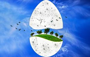 egg trees sky illustration