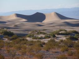 sandy desert of california