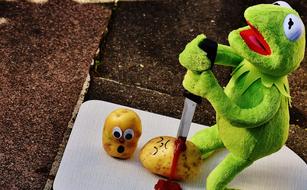 green frog kills potatoes