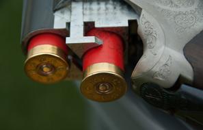 cartridges in a shotgun pistol