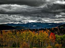 Colorado Fall Autumn