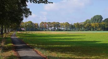 Autumn Landscape Shadow Emerge