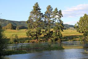 River Water Dere