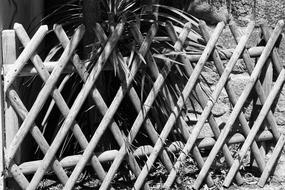 Barrier Bamboo Protection Black