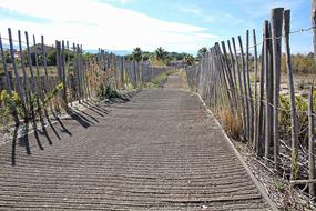 long wooden road to the village