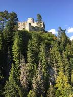 green trees on the cliff by the castle