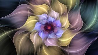 fractal flower petals colorful