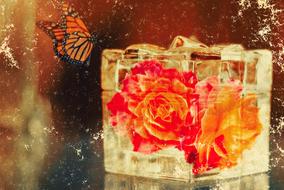 roses in a box flower aged look
