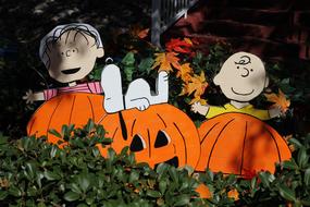 Thanksgiving Pumpkin Halloween