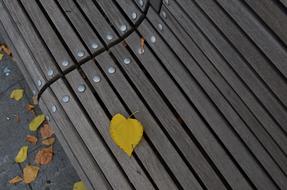 Pad Holidays Autumn
