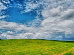 Summer Meadow countryside