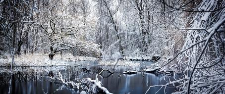 Winter Saxony Snowy nature