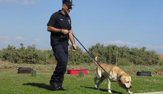 Police and Dog Training