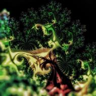 fractal cauliflower green rendered