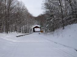 Landscape Winter Snow