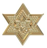 Decorative gold star