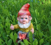 garden funny gnome in the grass