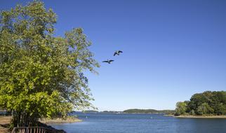 Lake Landscape Sky