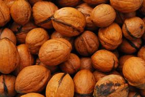 ripe nuts in their shells