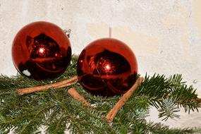 Christmas ball on the branches of a tree