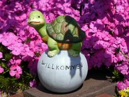 Welcome Turtle Flowers